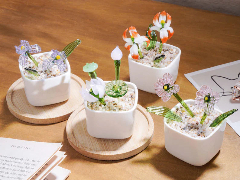 DIY Birth Month Flower Kit