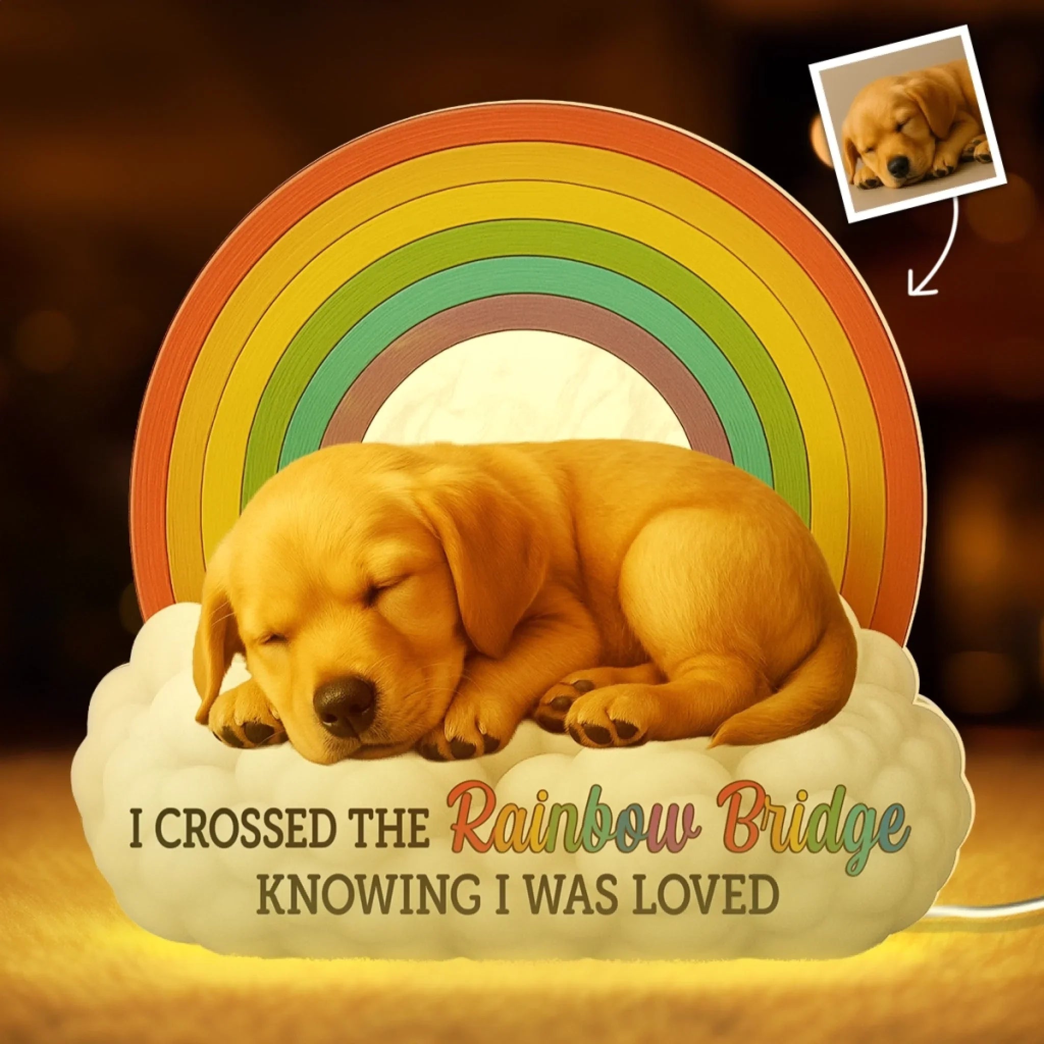 Custom Photo Shaped Light Box - Personalized Pet Memorial Gifts For Dogs, Cats - I’ll Meet You At The Rainbow Bridge