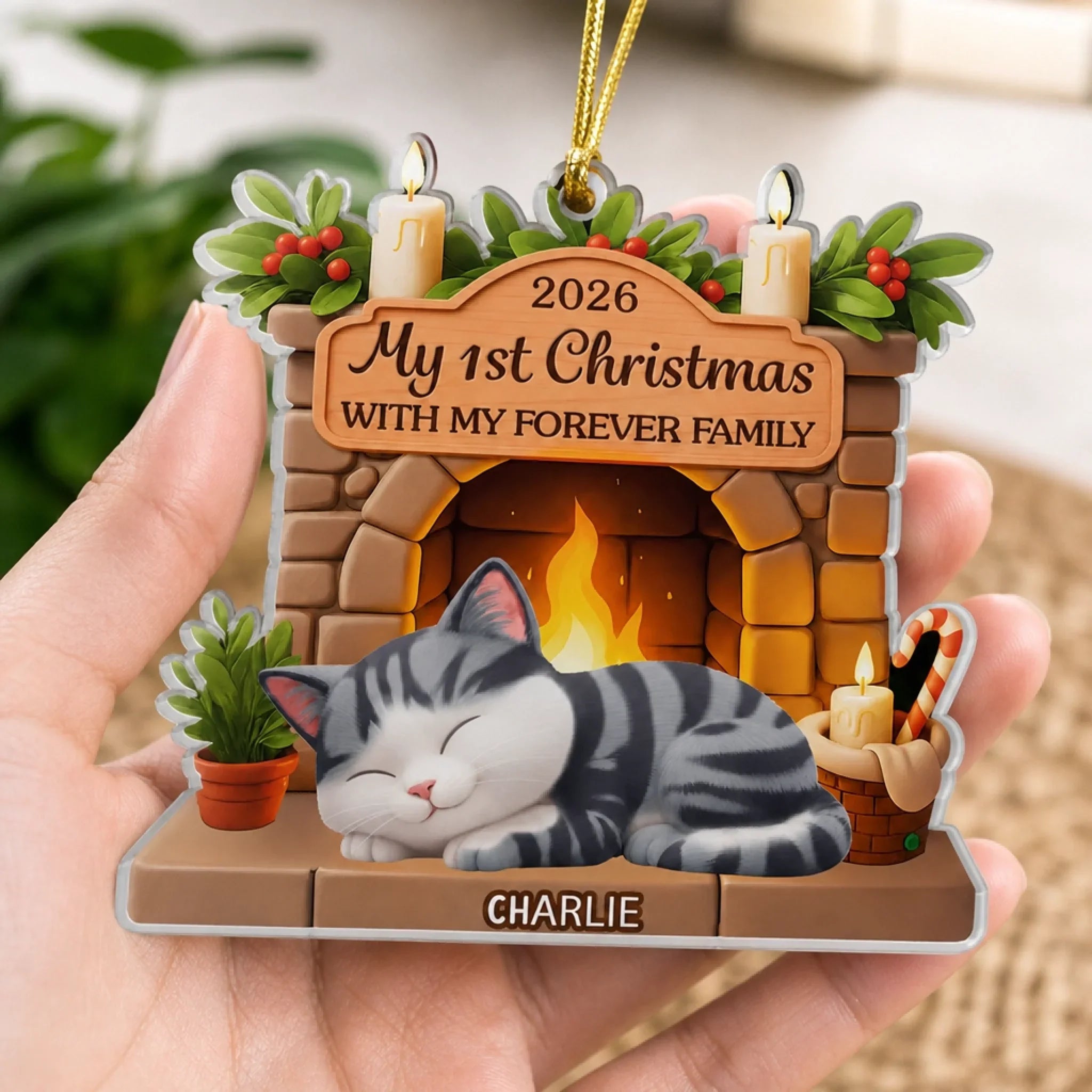 Custom First Christmas Acrylic Ornament - Personalized Christmas Birthday Gifts For Cat Lovers, Cat Mom And Dad - With My Forever Family