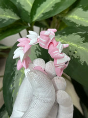 Tranh ghép hạt cườm Hello Kitty
