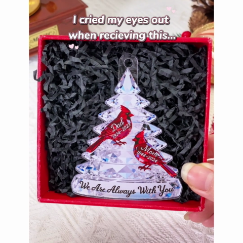 3D Effect Memorial Tree Cardinals - Personalized Acrylic Ornament - Remembrance Gift, Sympathy Gift For Whole Family, Extended Family