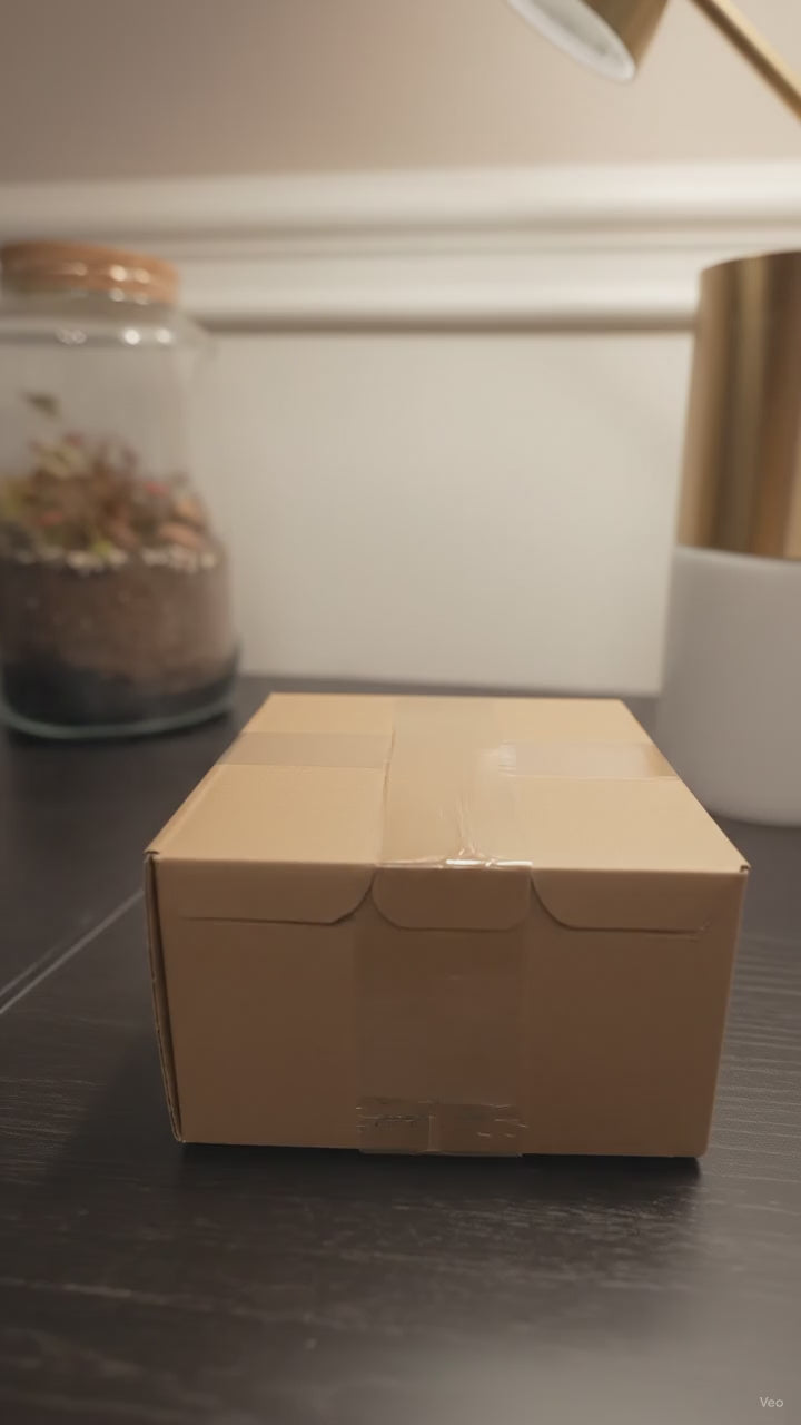 Mandalorian Desktop Pen.mp4